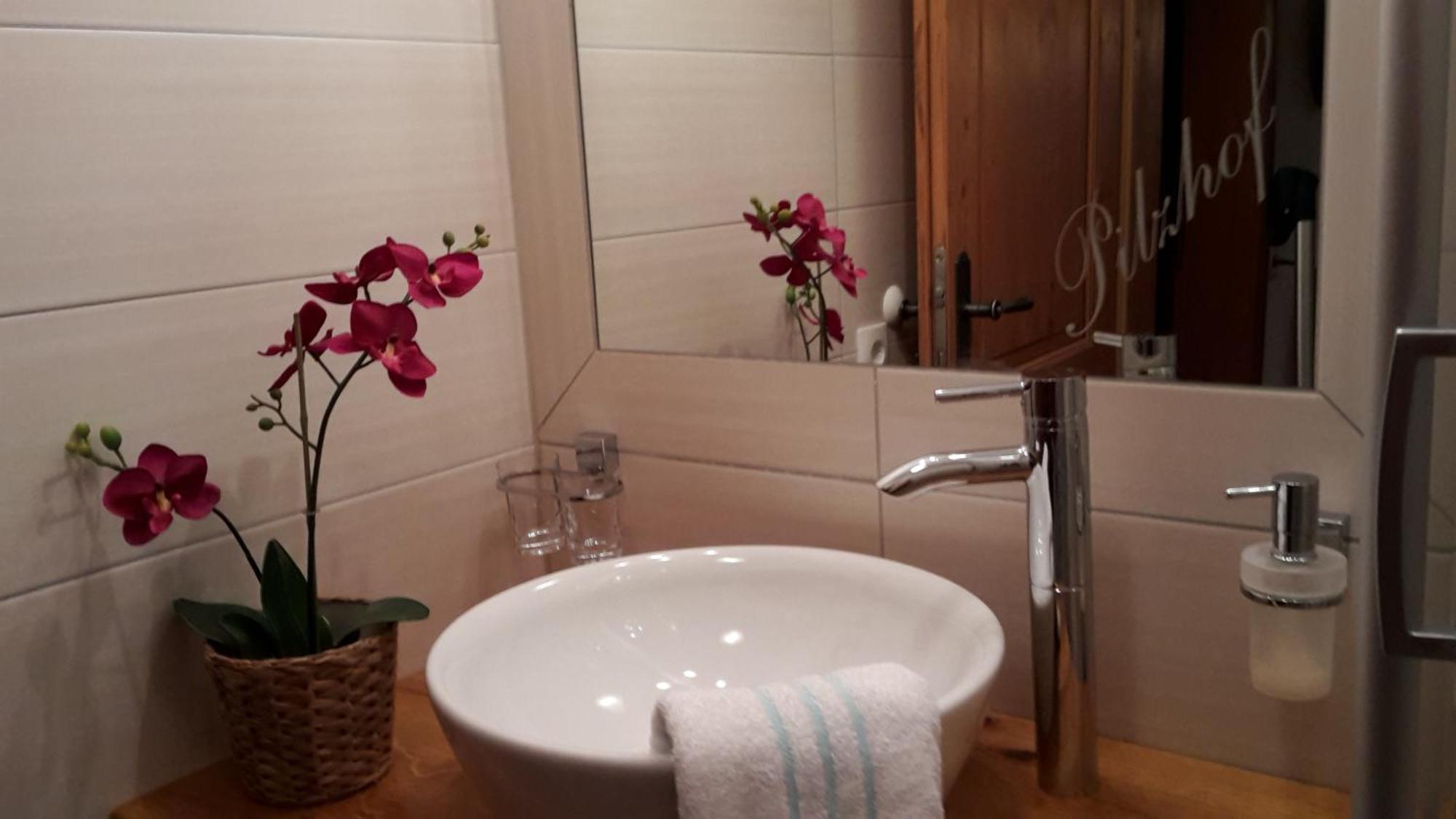 Appartement Pilzhof Filzmoos Ngoại thất bức ảnh